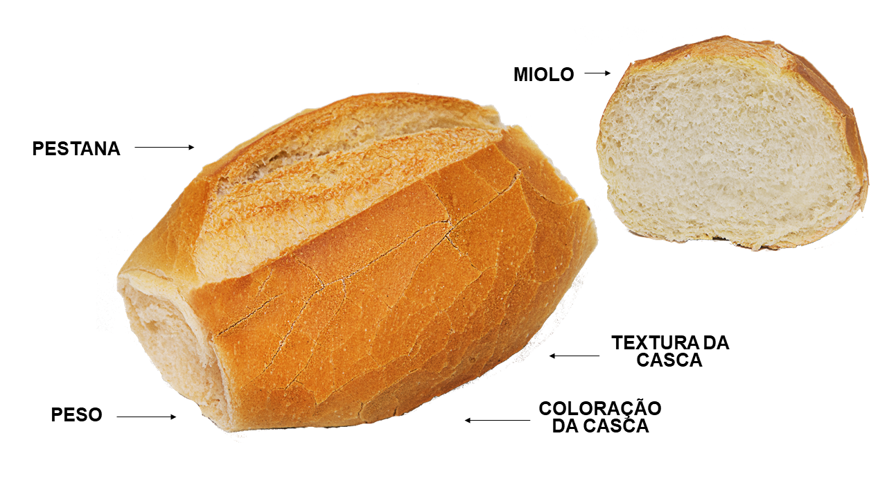 Conheça os 13 atributos de qualidade do pão francês – ABIP